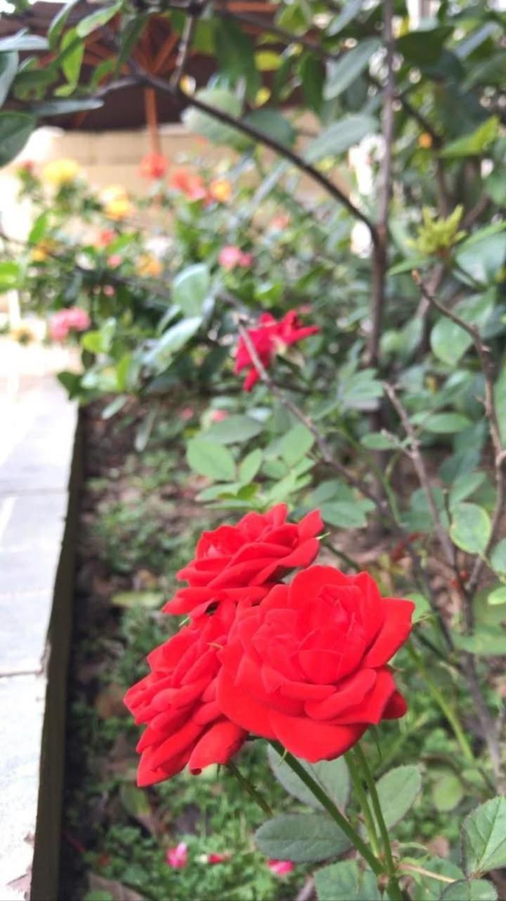 Villa Garza Inn Guayaquil Kültér fotó